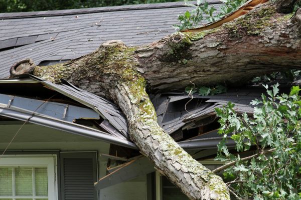 Storm Remediation in Olathe
