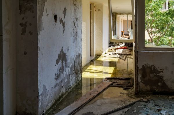 Cost of Water Removal Service in Olathe