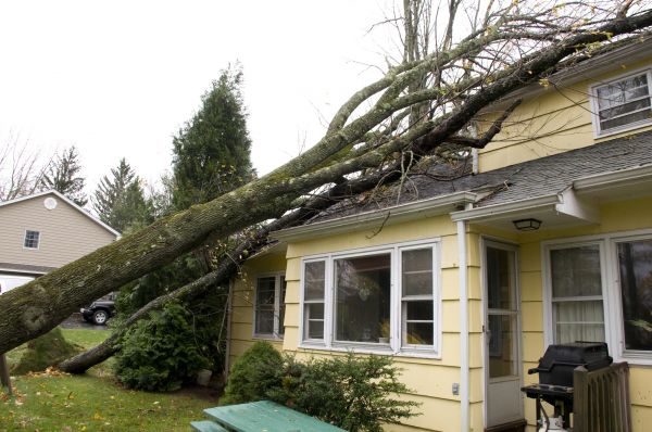 Cost of Hurricane Damage Repair in Olathe