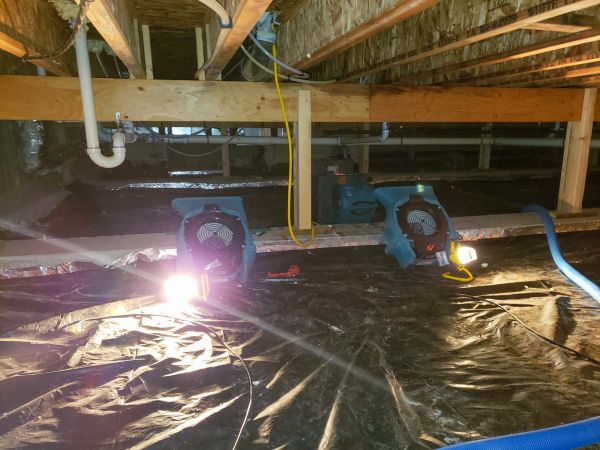 Cost of Crawlspace Water Removal in Olathe